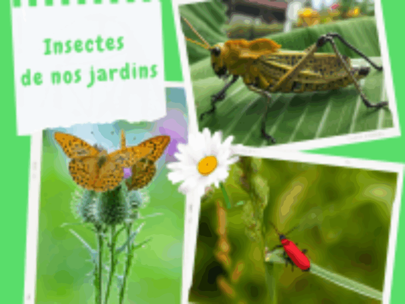 Concours photos 2025 – les résultats sont connus
