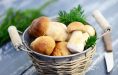 AdChampignons 4-3