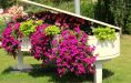 Piano fleurs 4-3
