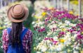 printemps fleurs 4-3